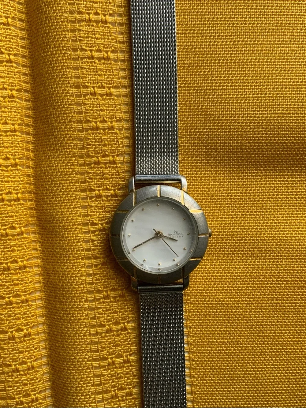 Skagen Classic Silver Mesh Watch (Model 3LGS) WORKS PERFECTLY